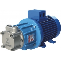 Bơm áp lực cao seri T ECO MAG - M dẫn động từ