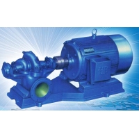 Bơm lưu lượng lớn 2 cửa hút series Lws - 6Sh - 10Sh
