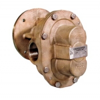Bơm bánh răng thân đồng ăn khớp ngoài model N1100