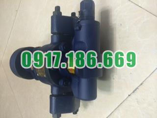 Bơm bánh răng 1m3 áp suất 14,5 bar có van hồi áp