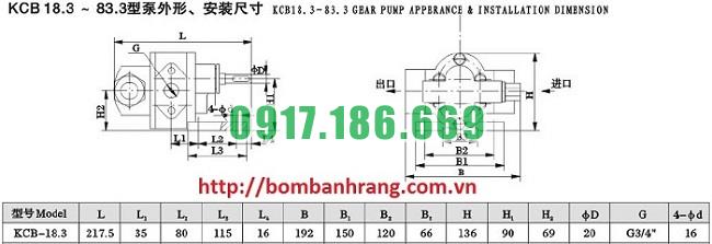 Bơm bánh răng 1m3 áp suất 14,5 bar có van hồi áp