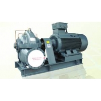 Bơm hai cửa hút model GVI 80 - 1602