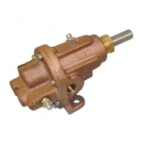 Bơm bánh răng thân đồng ăn khớp ngoài model N1000L