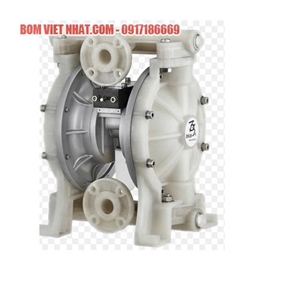 Bơm màng TDS DS10-PAL-TPTP-02 1 inch